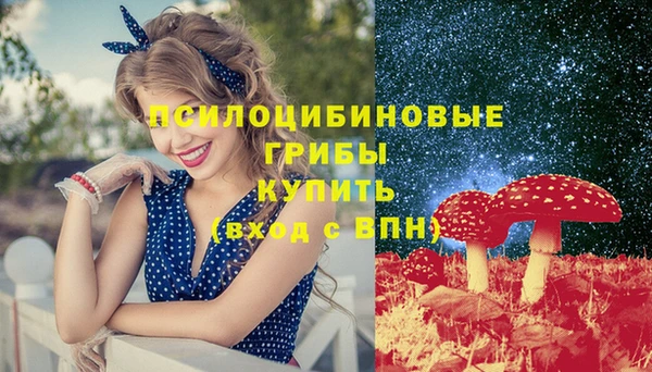 гашик Верхнеуральск